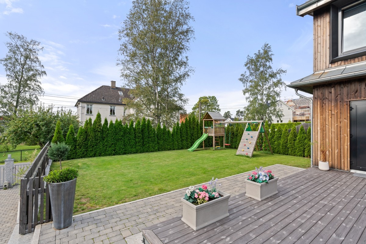 Lettstelt, flat hage. Galleribilde