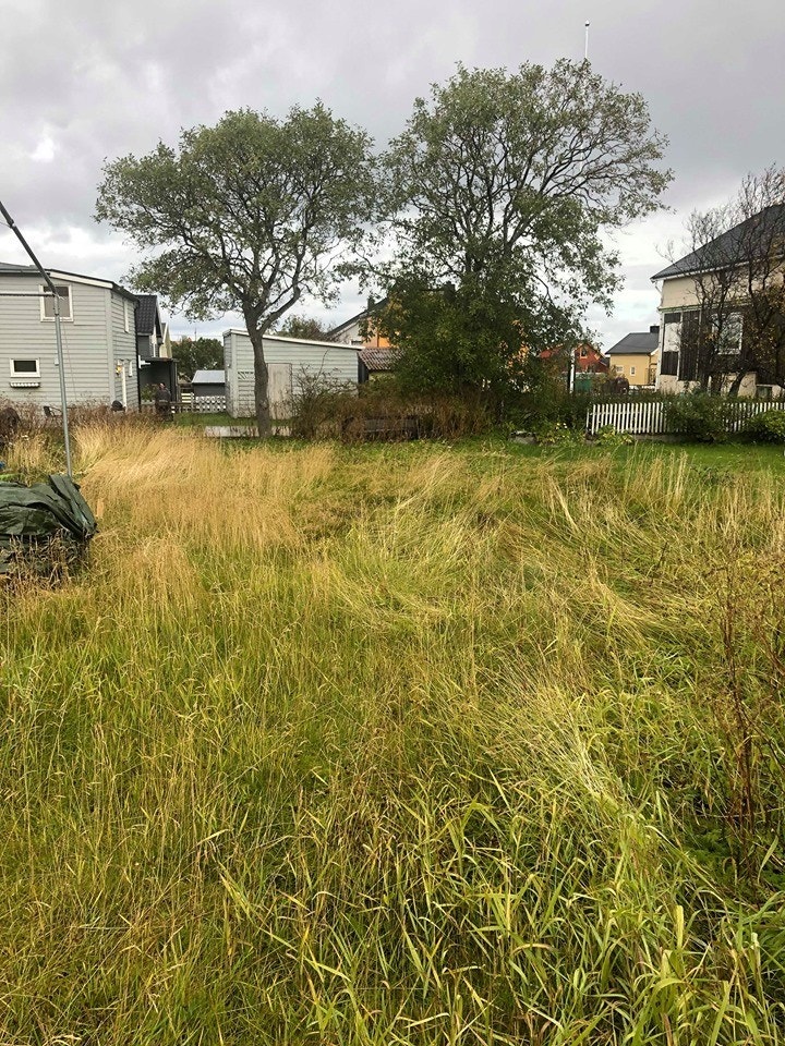 Hage med god plass Galleribilde