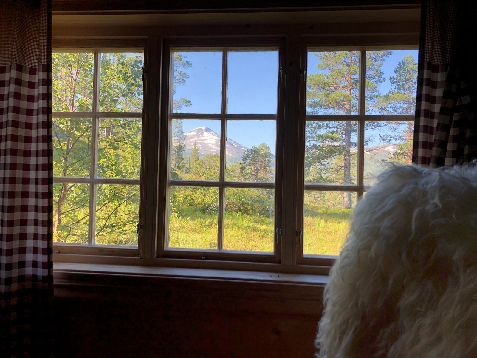 Utsikten fra stuevinduet, med Fruhøtta. Galleribilde