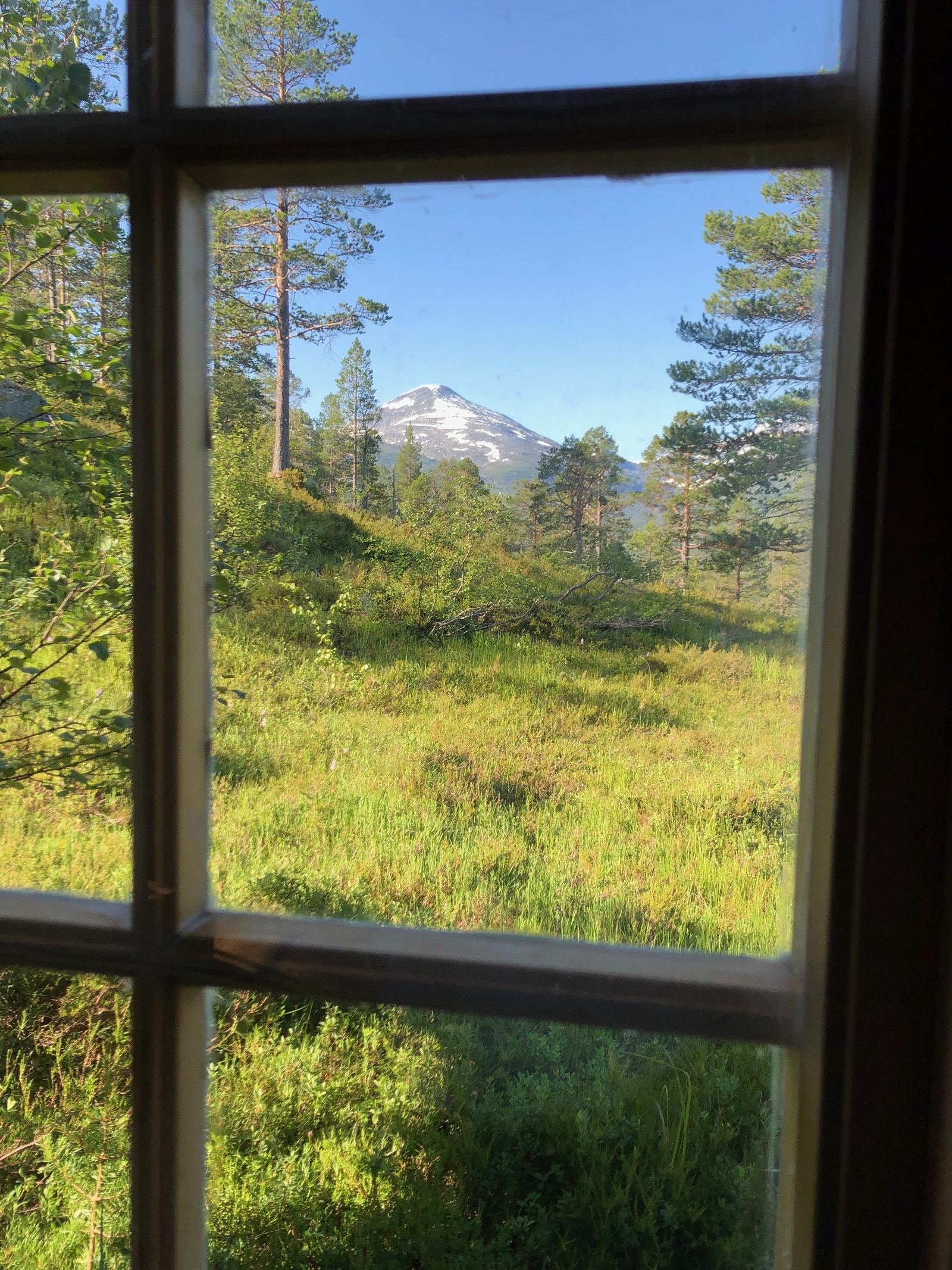 Fruhøtta sett fra stuevinduet. Galleribilde