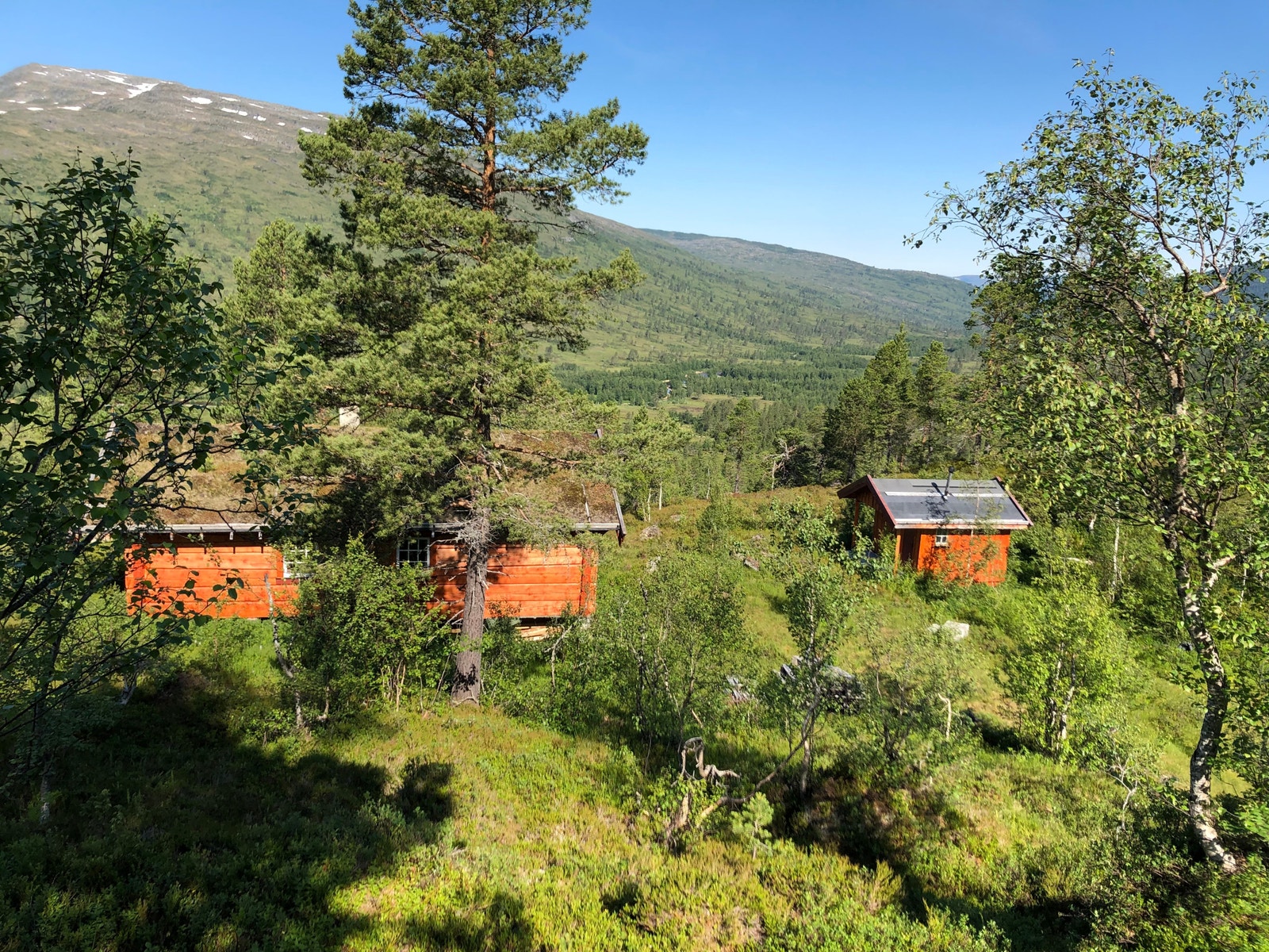 Bak hytta og uthuset Galleribilde
