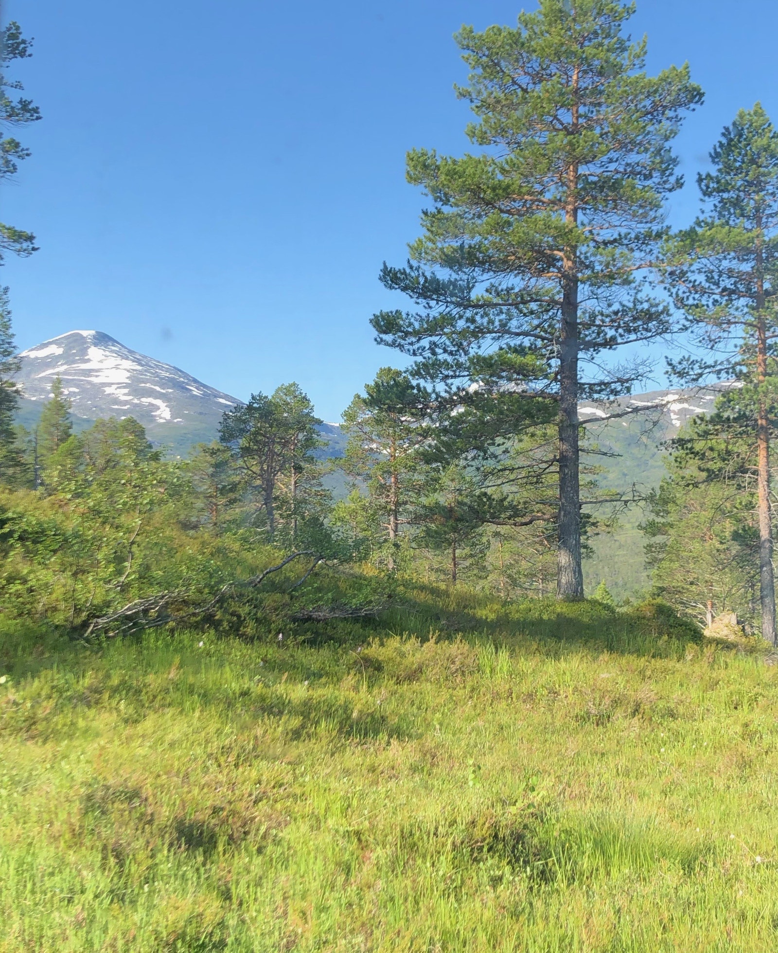 Fruhøtta, bildet er tatt fra stuevinduet Galleribilde