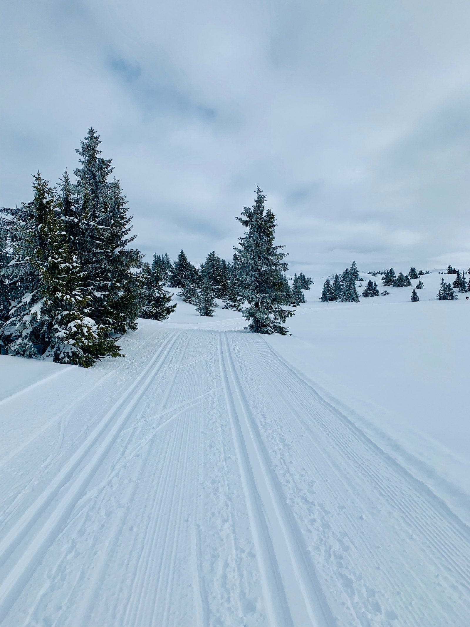 Mange langrennsløyper i stort langrennsnett mot Beitostølen Galleribilde