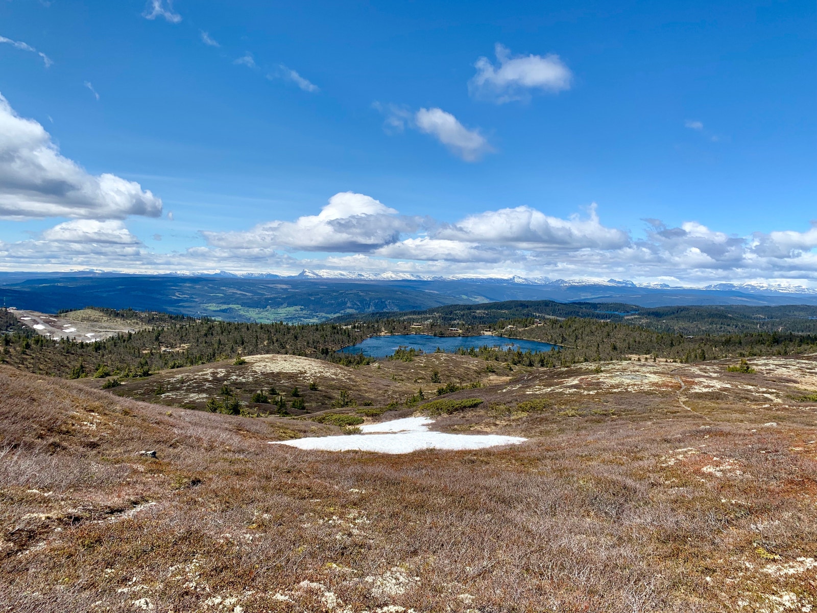 Aurdalsåsen Galleribilde