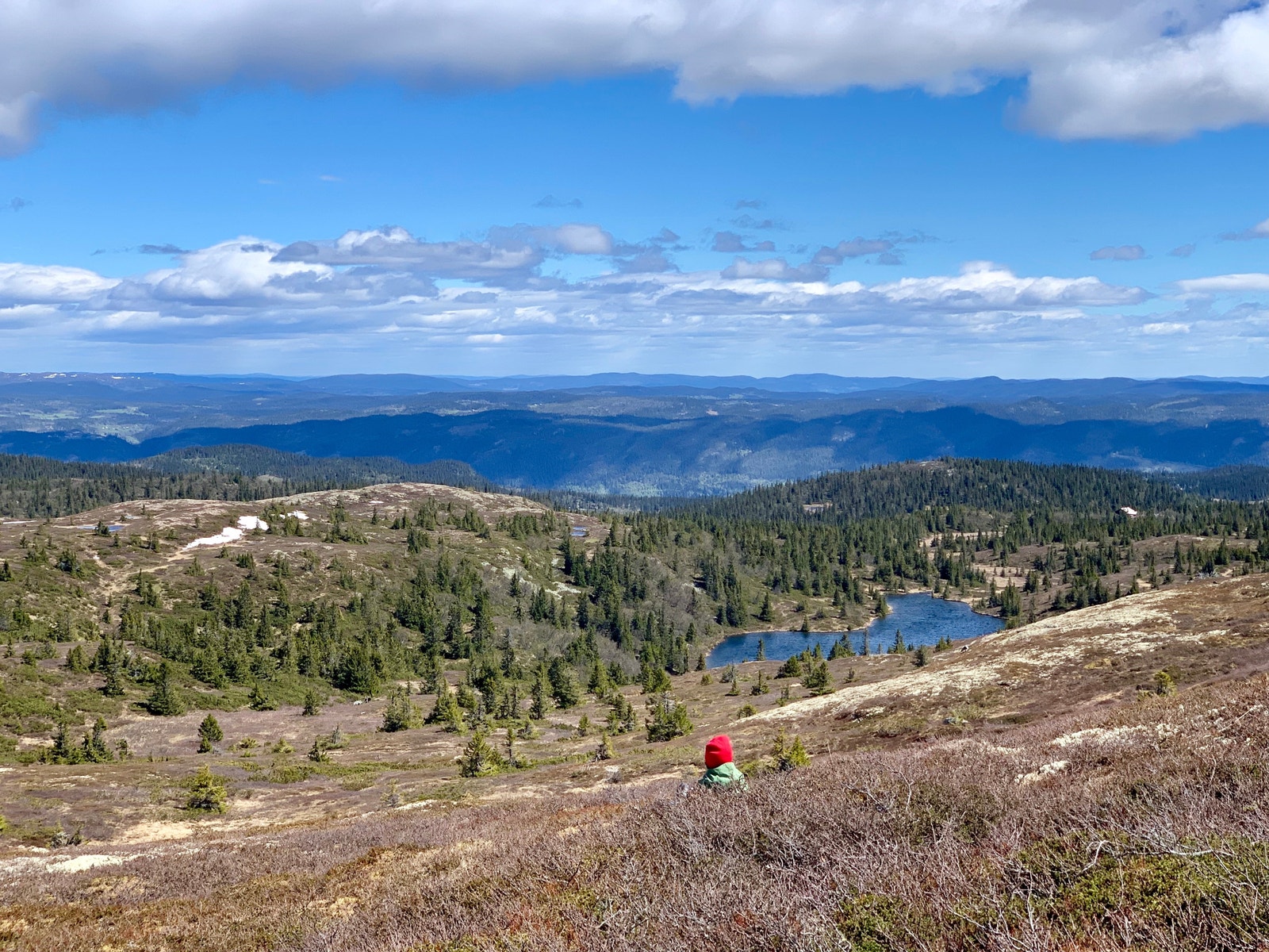 Aurdalsåsen Galleribilde