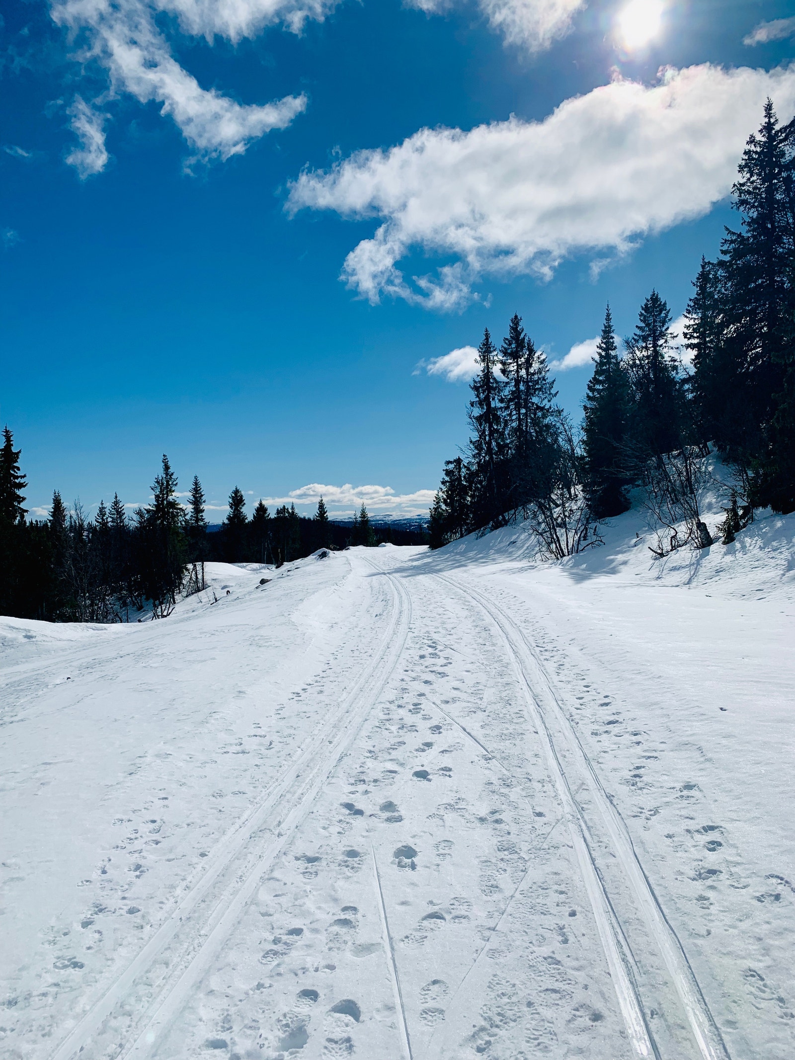Nydelige langrennsspor Galleribilde