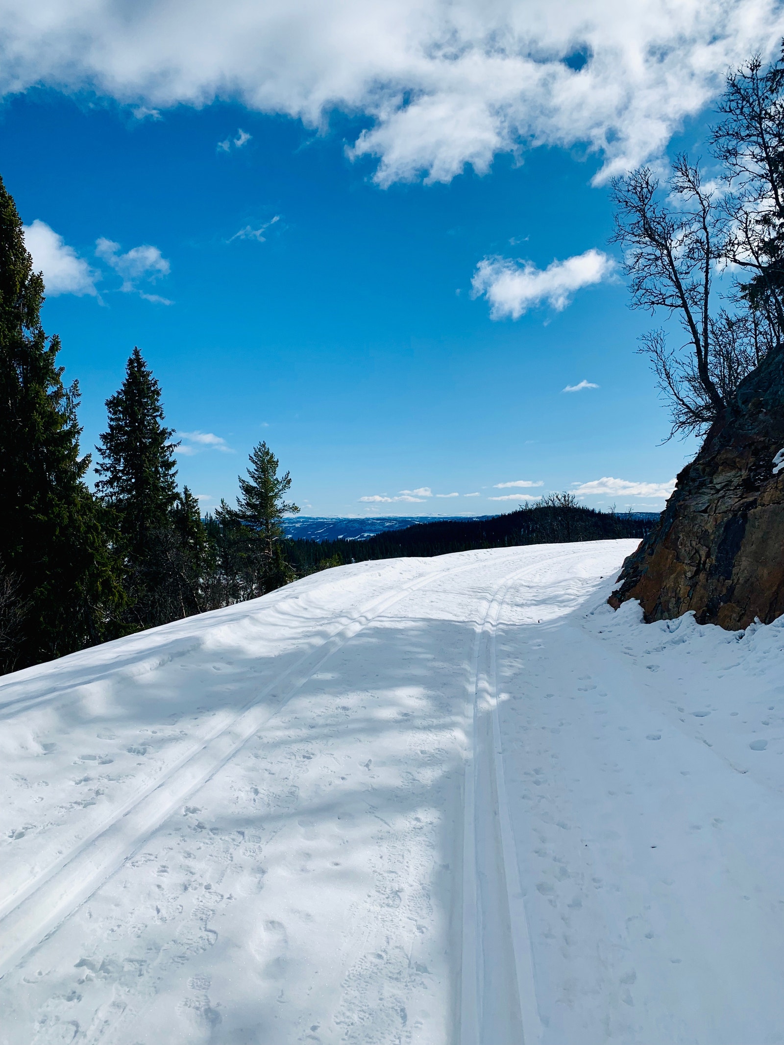 Flotte langrennsløyper Galleribilde