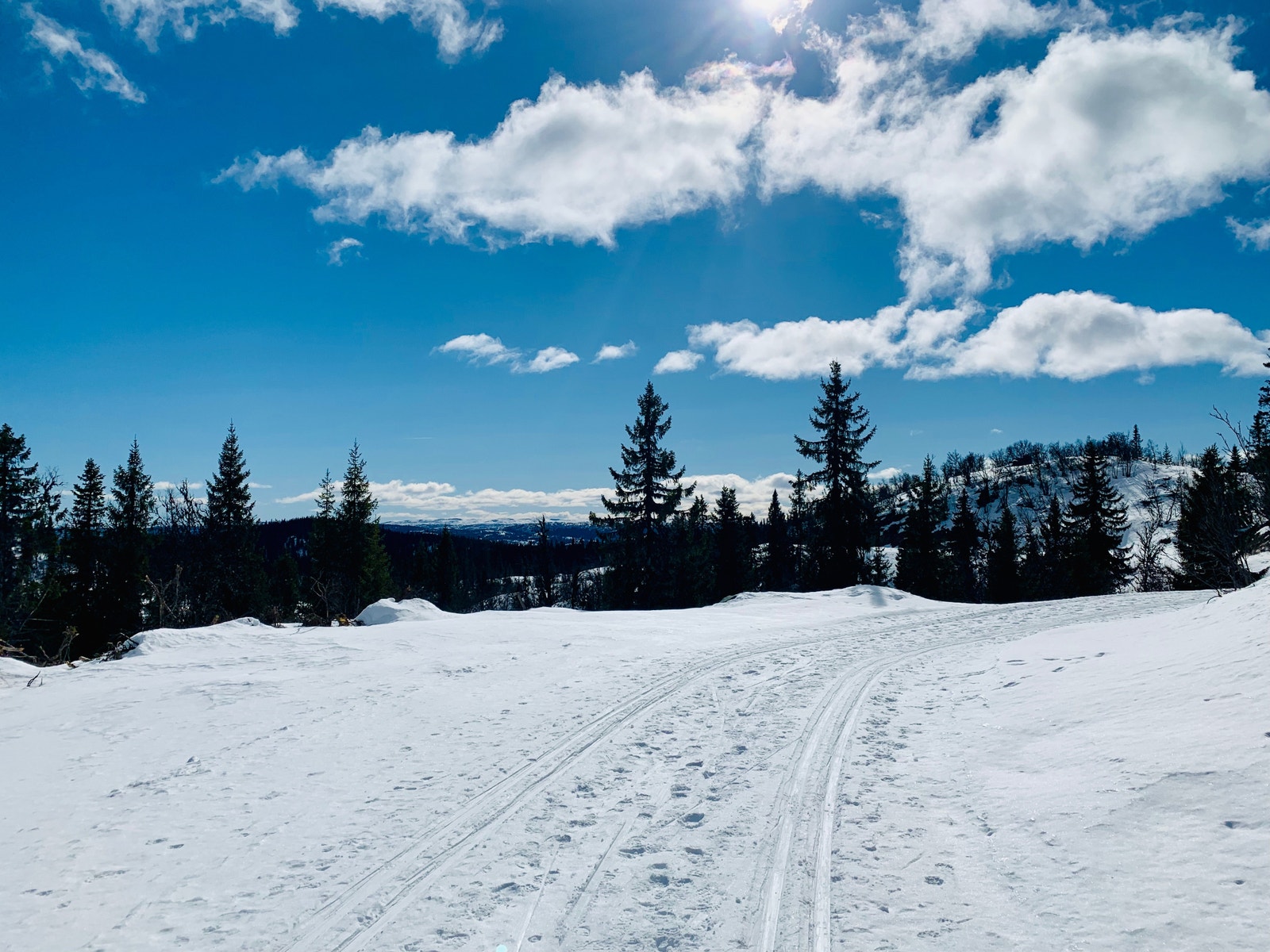 Flott vinterlandskap Galleribilde