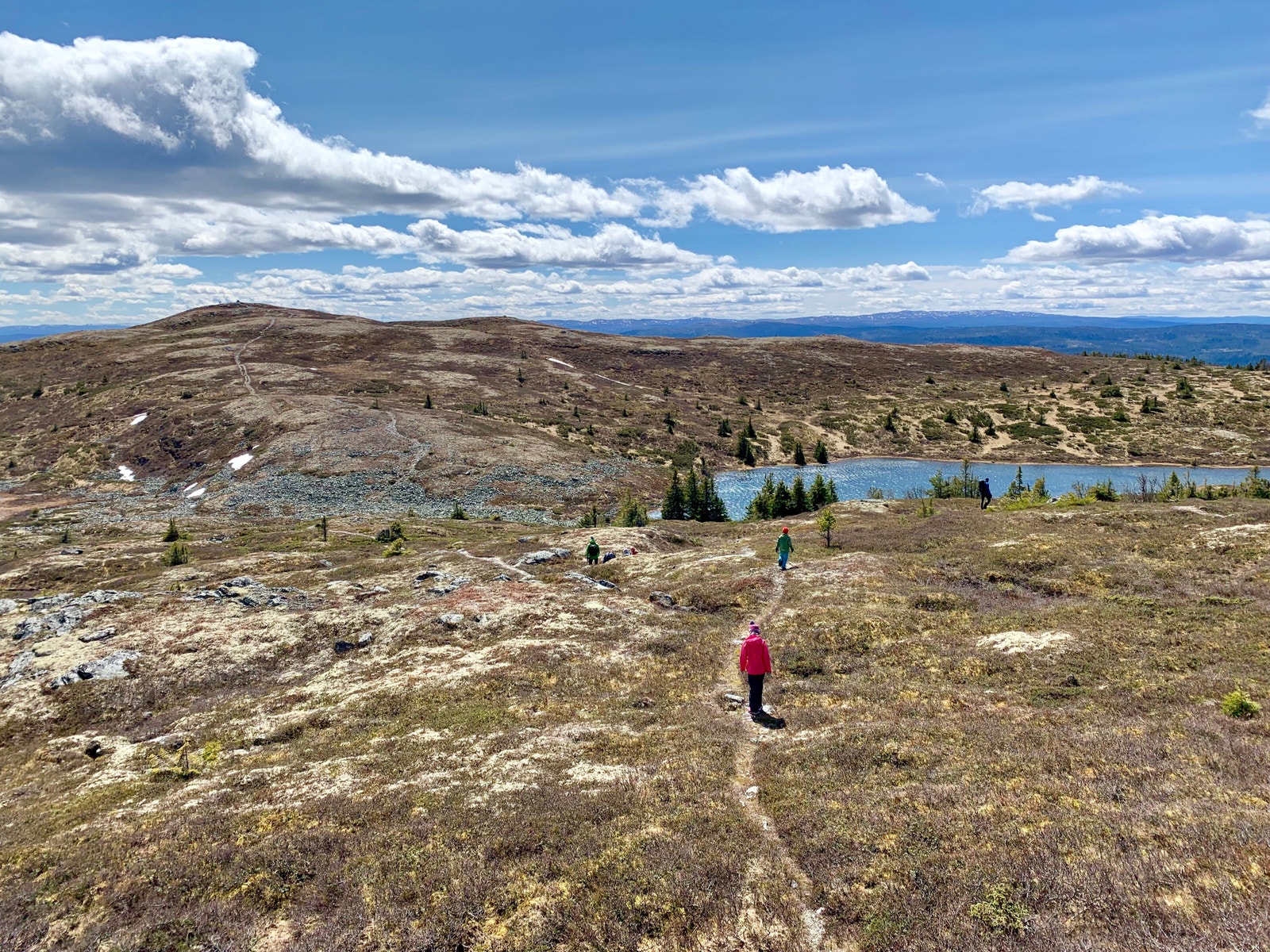 Høst i fjellet Galleribilde