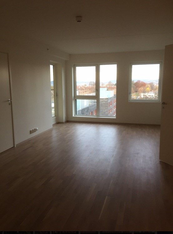 Stue Galleribilde