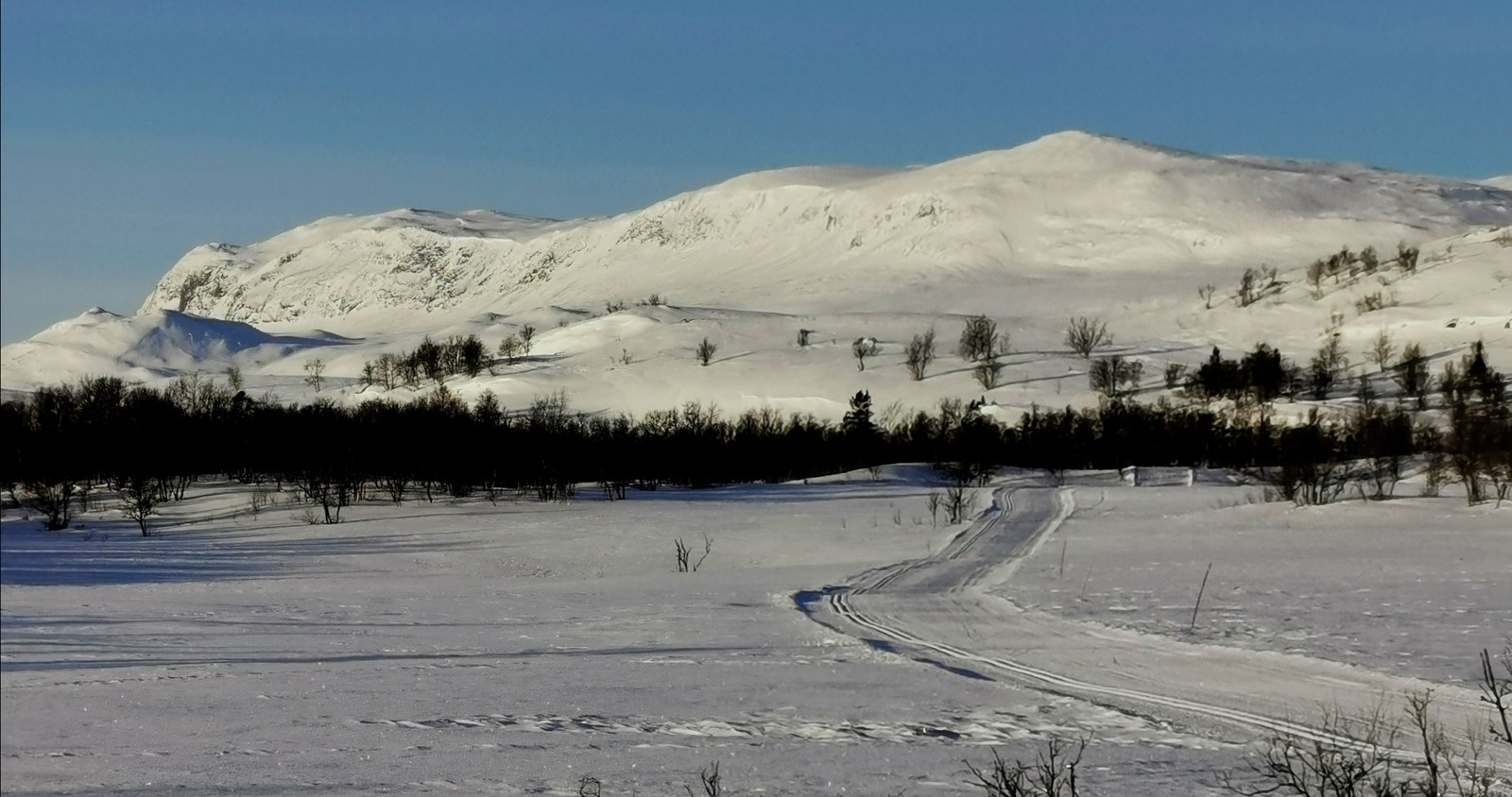 LEVELDÅSEN 10.januar. Galleribilde
