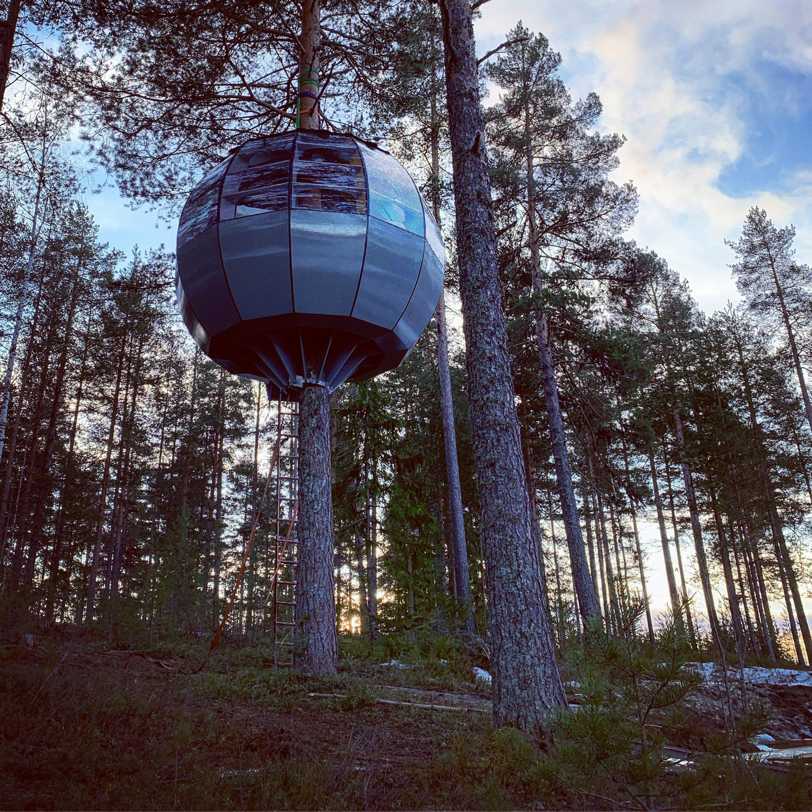 Tretopphytta!! Halve rommet er en dobbeltseng. Galleribilde