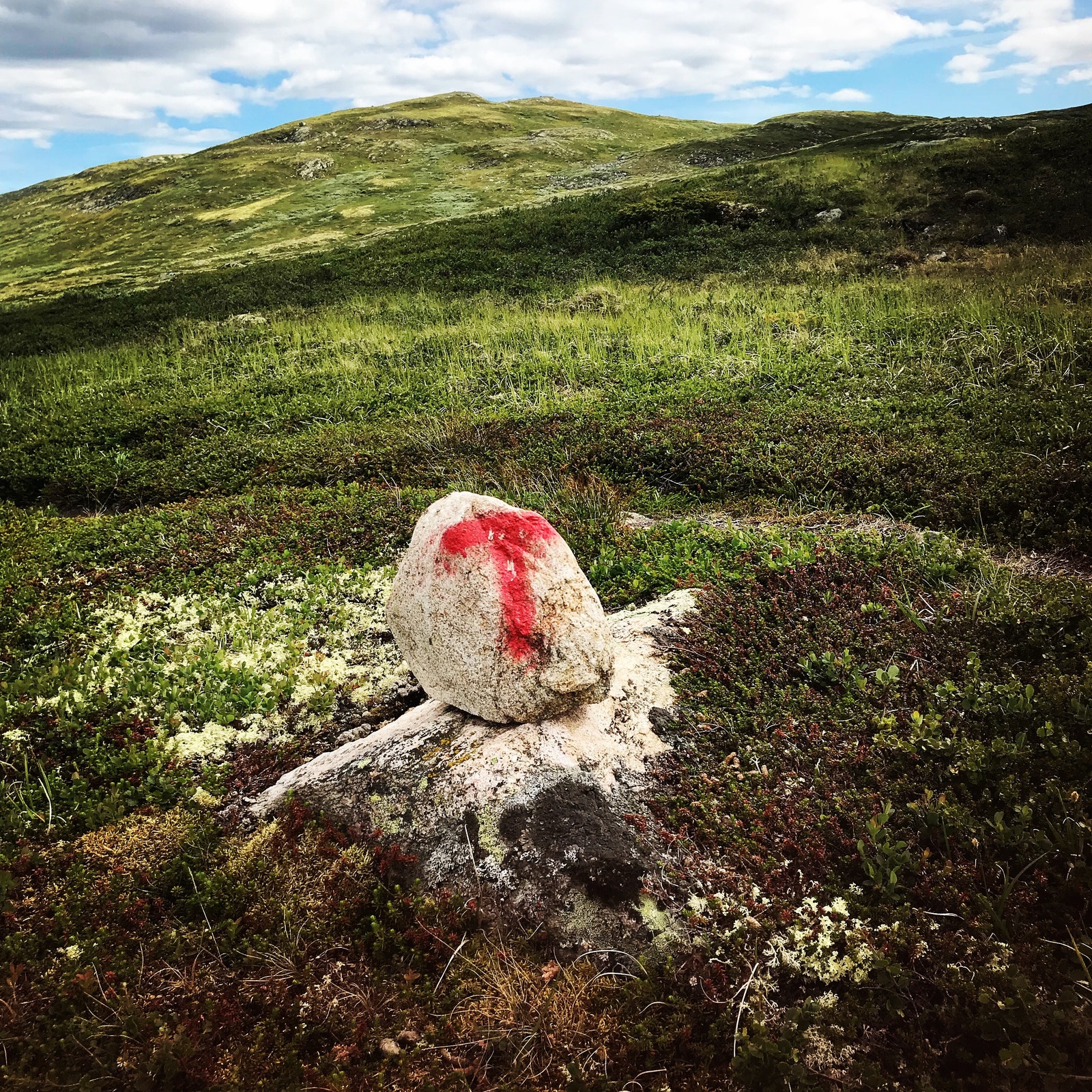 Imingfjell Galleribilde