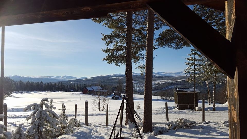 Utsikt fra utekjøkkenet Galleribilde