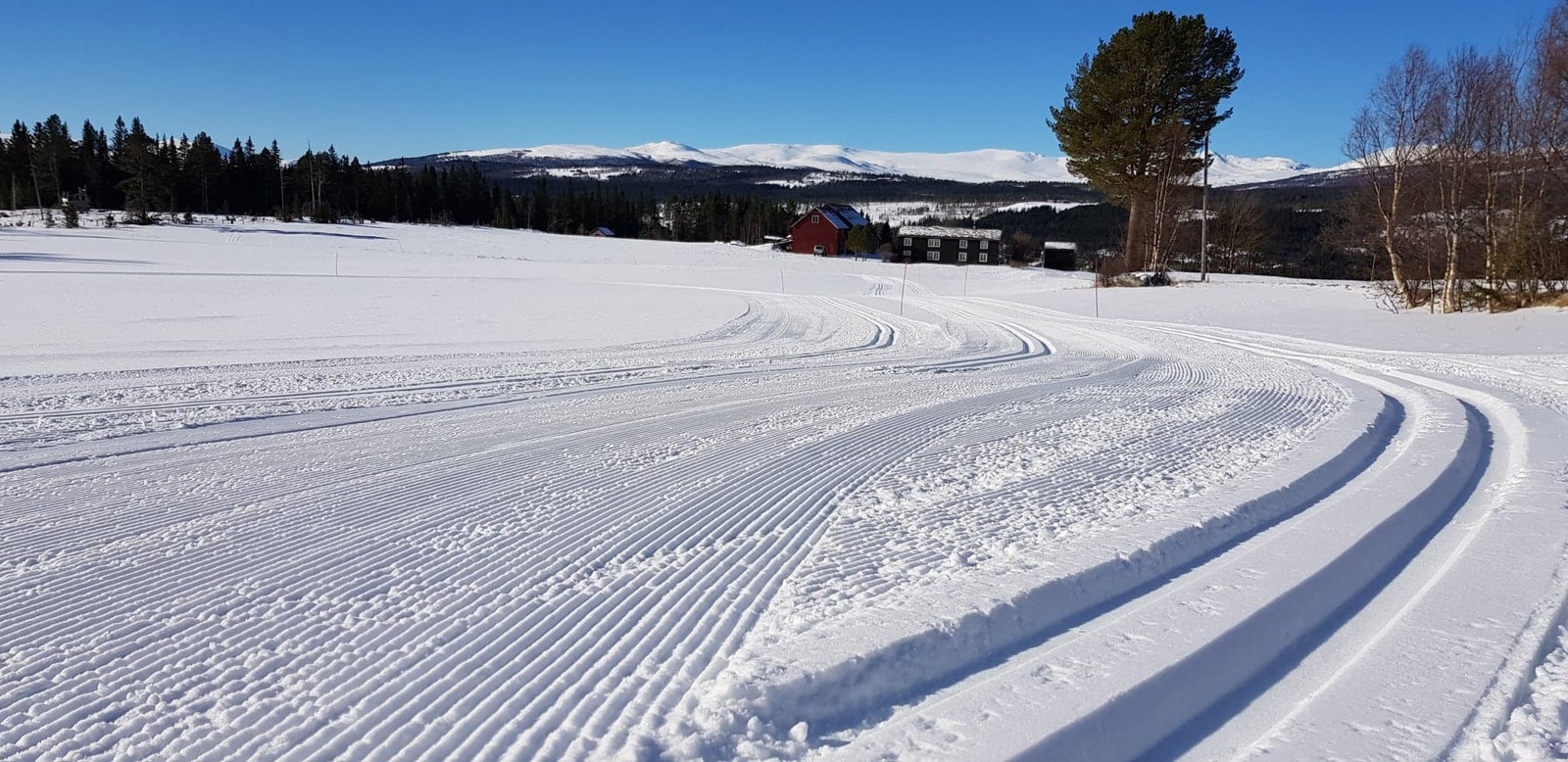 Det tradisjonelle "Ulsbergrennet" Galleribilde