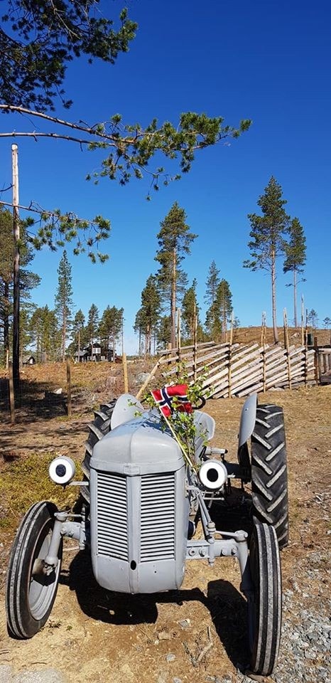 Gråtass står vakt ved innkjøringen til feltet! :-) Galleribilde