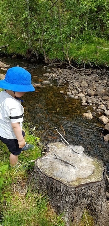 Lek i bekken Galleribilde