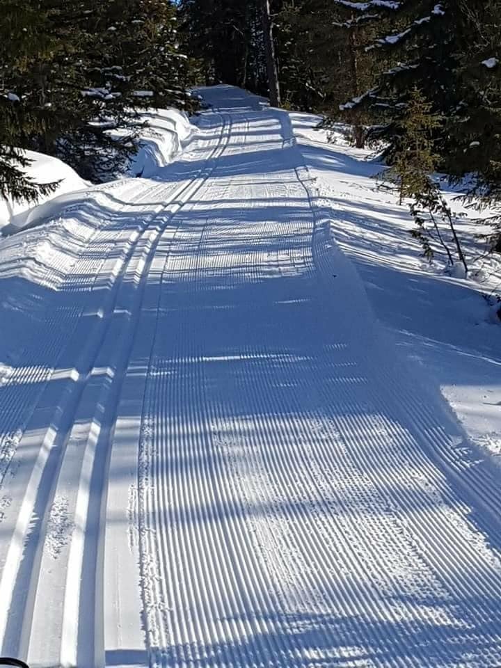 Ferske skiløyper Galleribilde