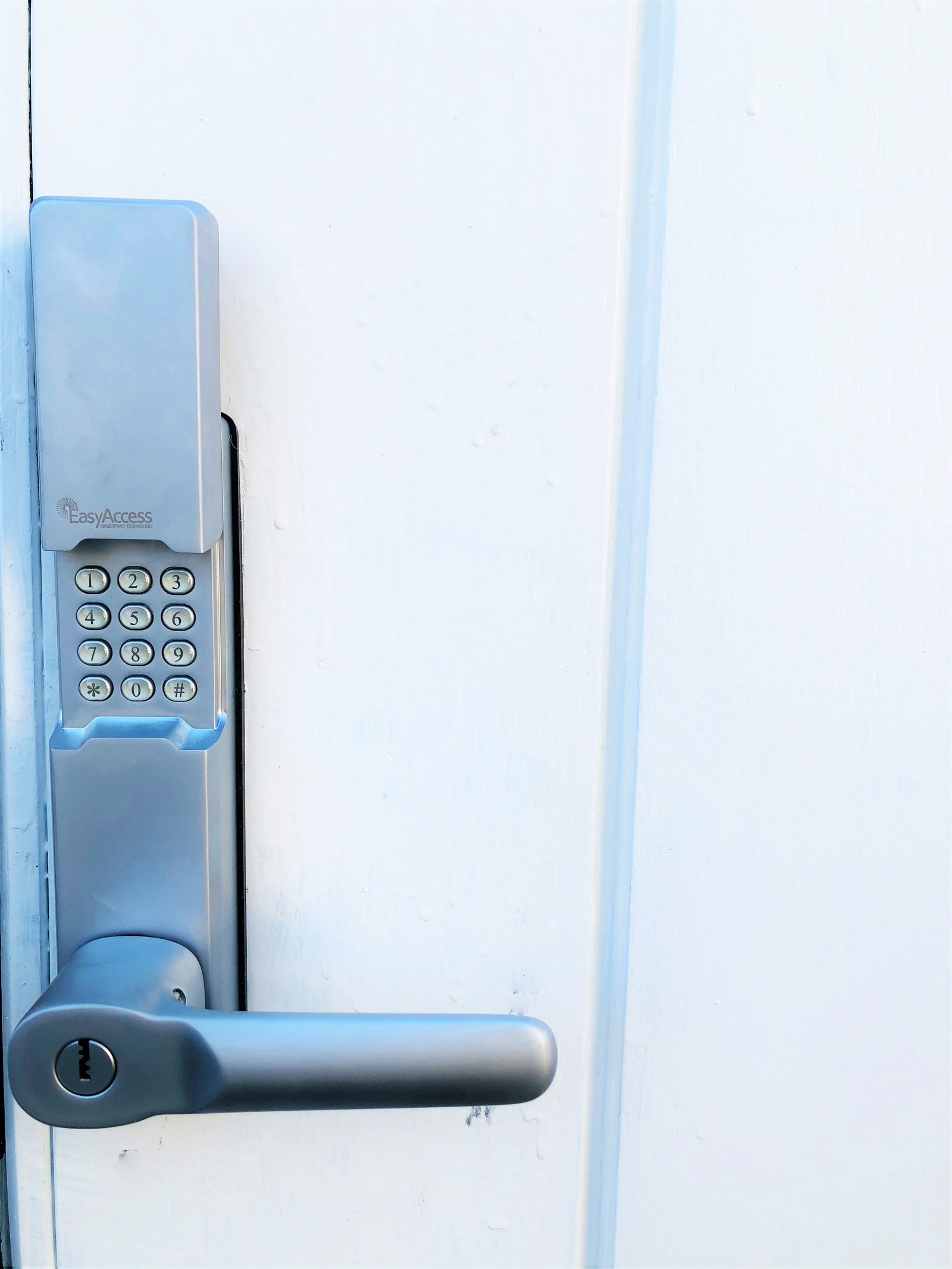 hoved door Galleribilde