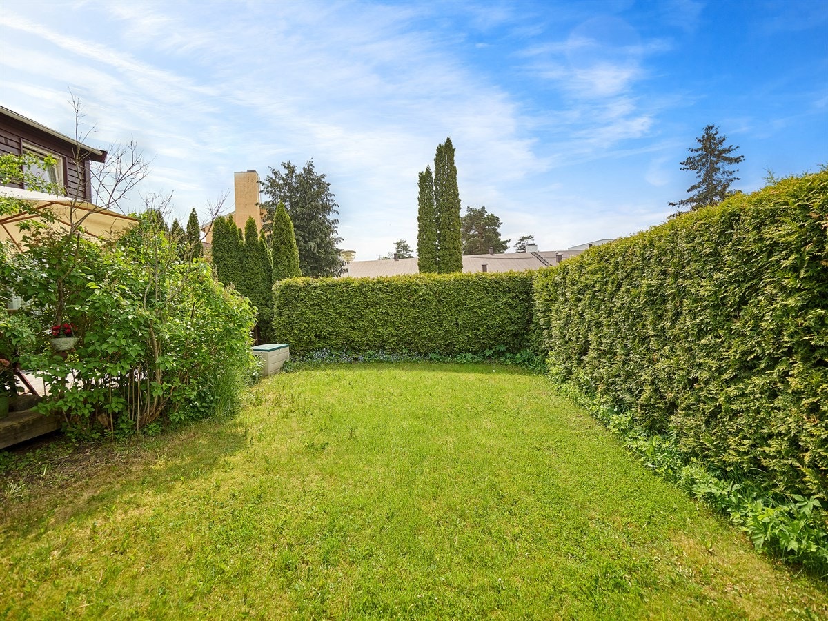 Hyggelig gressplen/forhage. Galleribilde