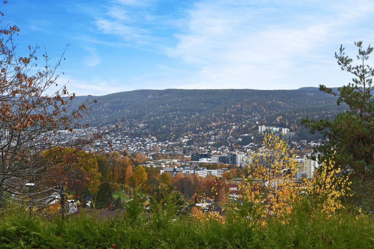 Utsikt mot Drammen sentrum. Galleribilde
