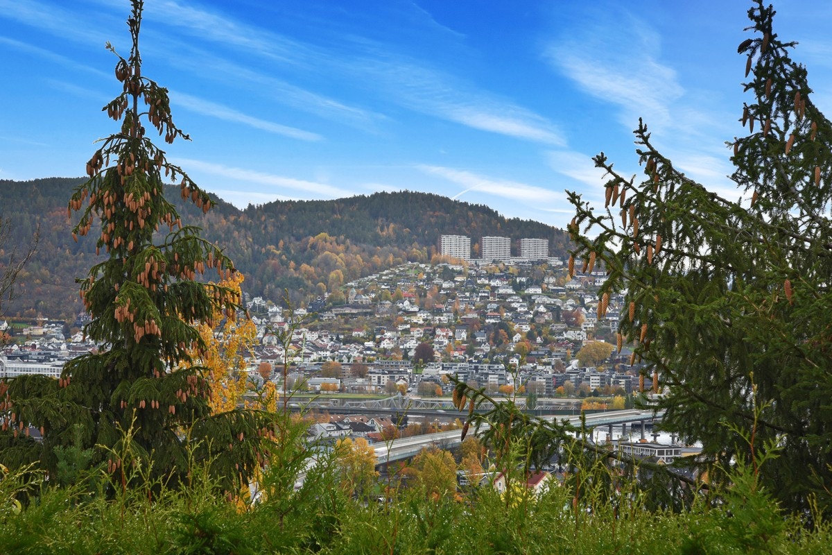 Utsikt mot Drammen sentrum. Galleribilde