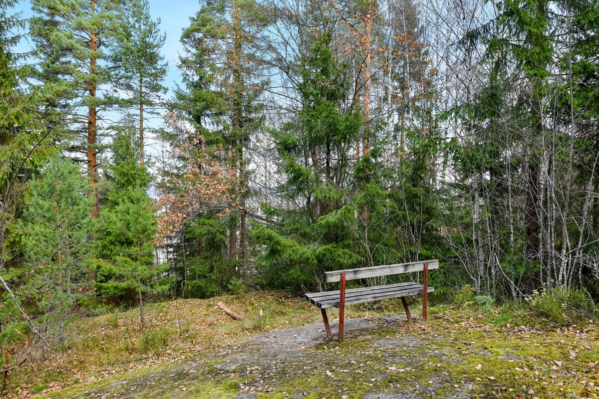 Kort vei til skog og mark med fine turmuligheter. Galleribilde