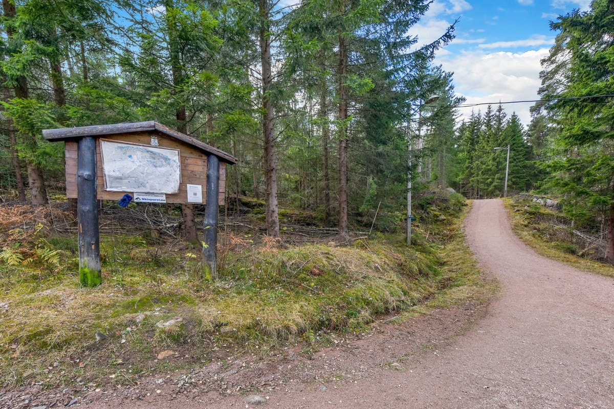 Kort vei til marka. Galleribilde