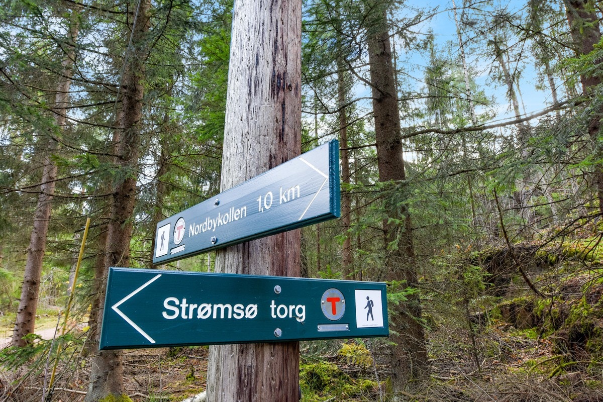 Flere fine turstier i umiddelbar nærhet. Galleribilde
