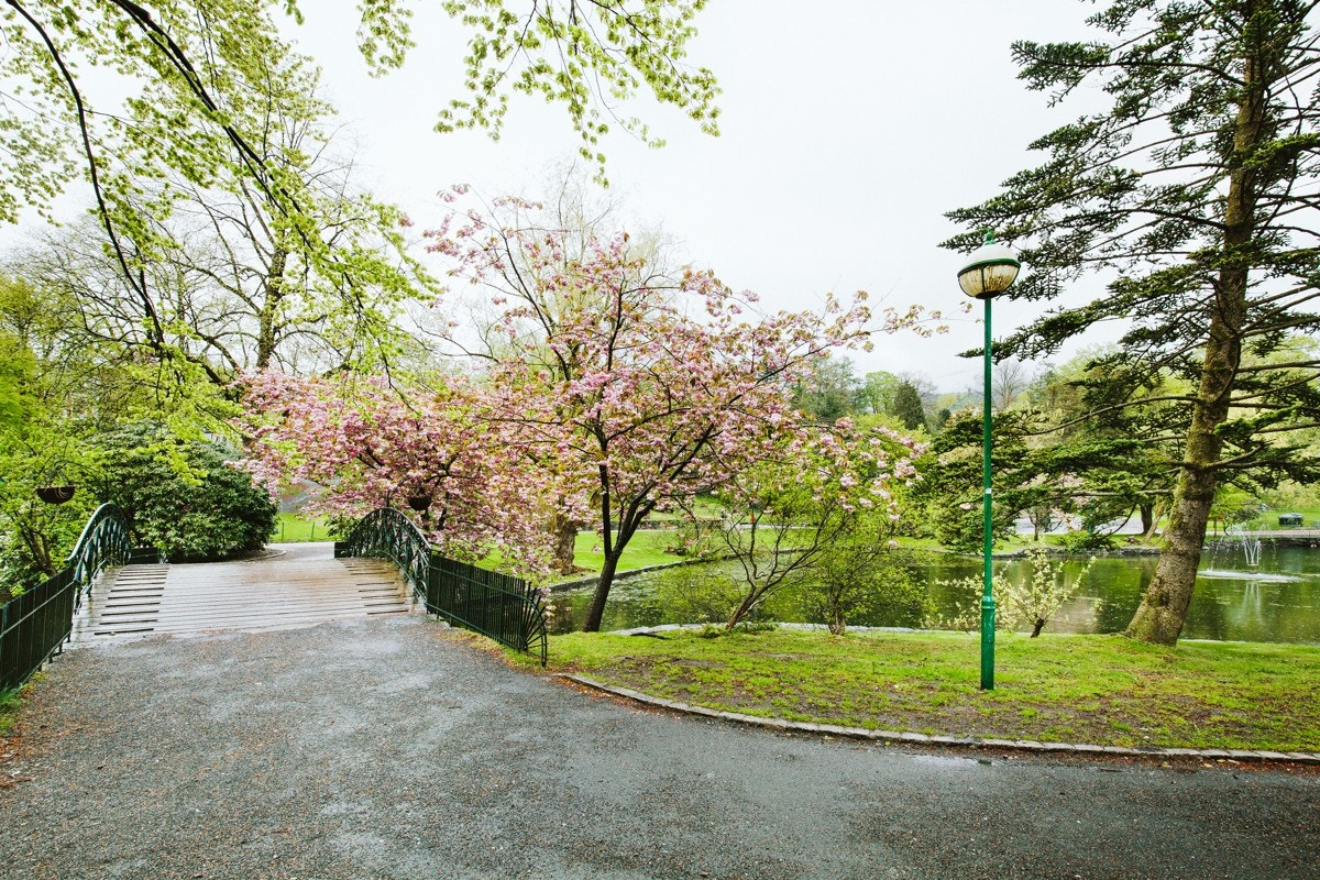 Flotte Nygårdsparken ligger 350 meter unna leiligheten. Galleribilde