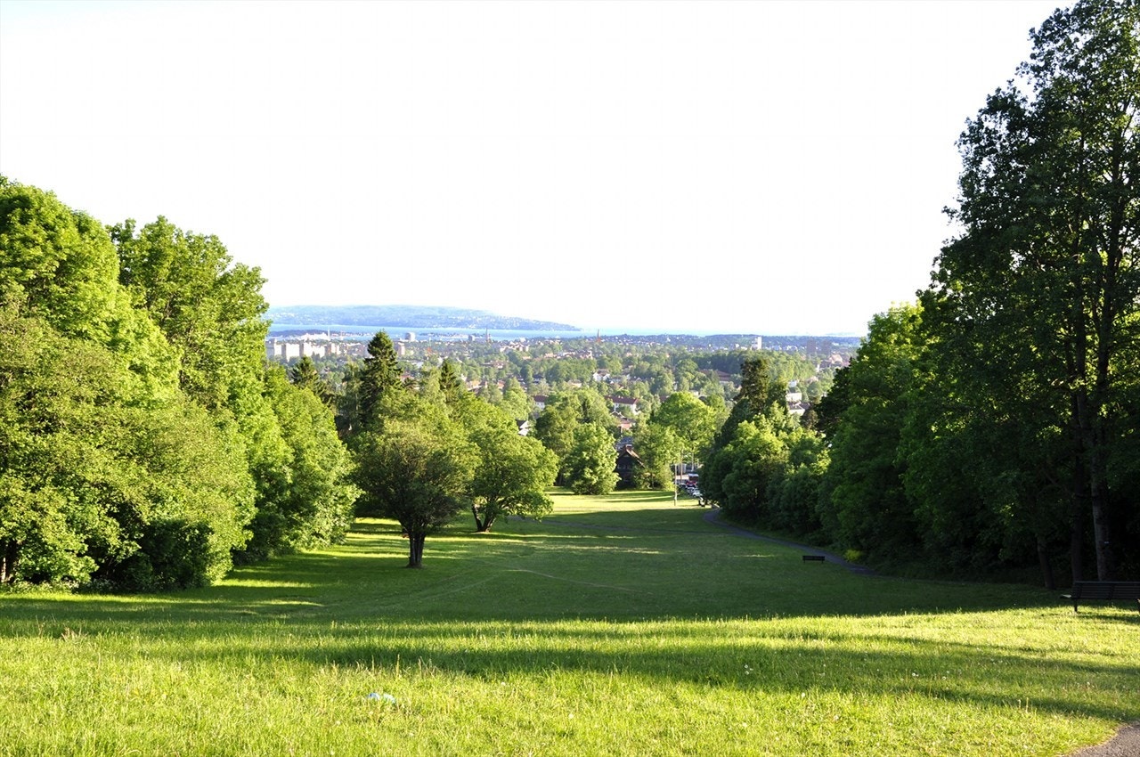 Havnabakken er den lokale parken hvor barna møtes for å ake på vinterstid. Utflukter hit både fra Tåsen skole og barnehagene i nabolaget. I bunnen av bakken ligger Østhorn T-bane stasjon som bruker få minutter til Majorstuen. Galleribilde