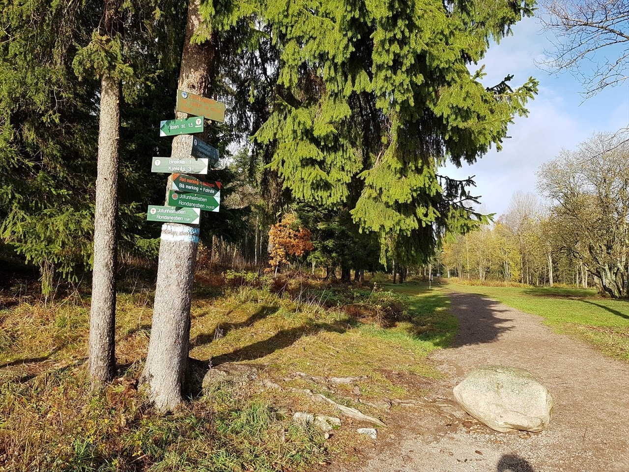 Et utall av muligheter for rekrasjon i marka. Her med utgangspunkt fra Grinda som ligger rett ved Korvoll skole. Galleribilde