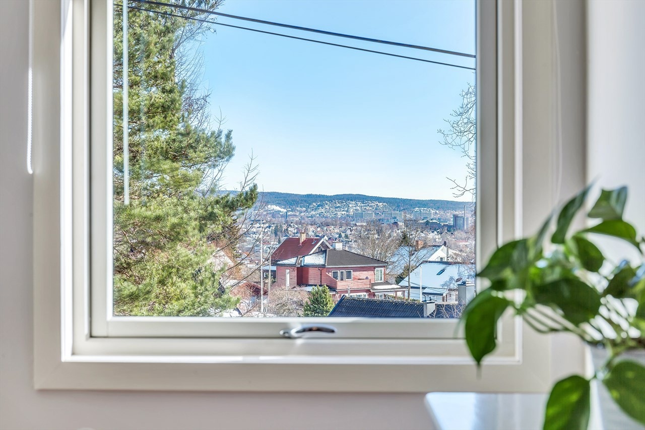 Utsikt fra hovedsoverom. Galleribilde