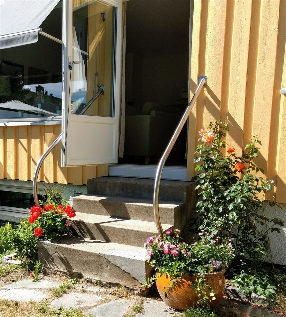 Selgers sommerbilder fra hagen. Galleribilde