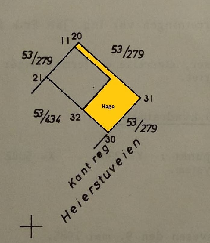 Hage markert med gul farge Galleribilde