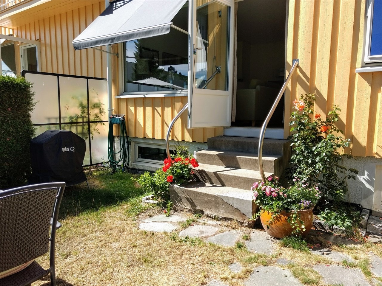 Selgers sommerbilder fra hagen. Galleribilde