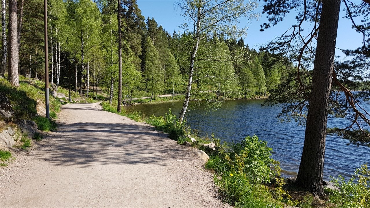 Sognsvann ligger i gangavstand fra boligen og byr på rekreasjon sommer som vinter - badevann, lysløyper. Galleribilde