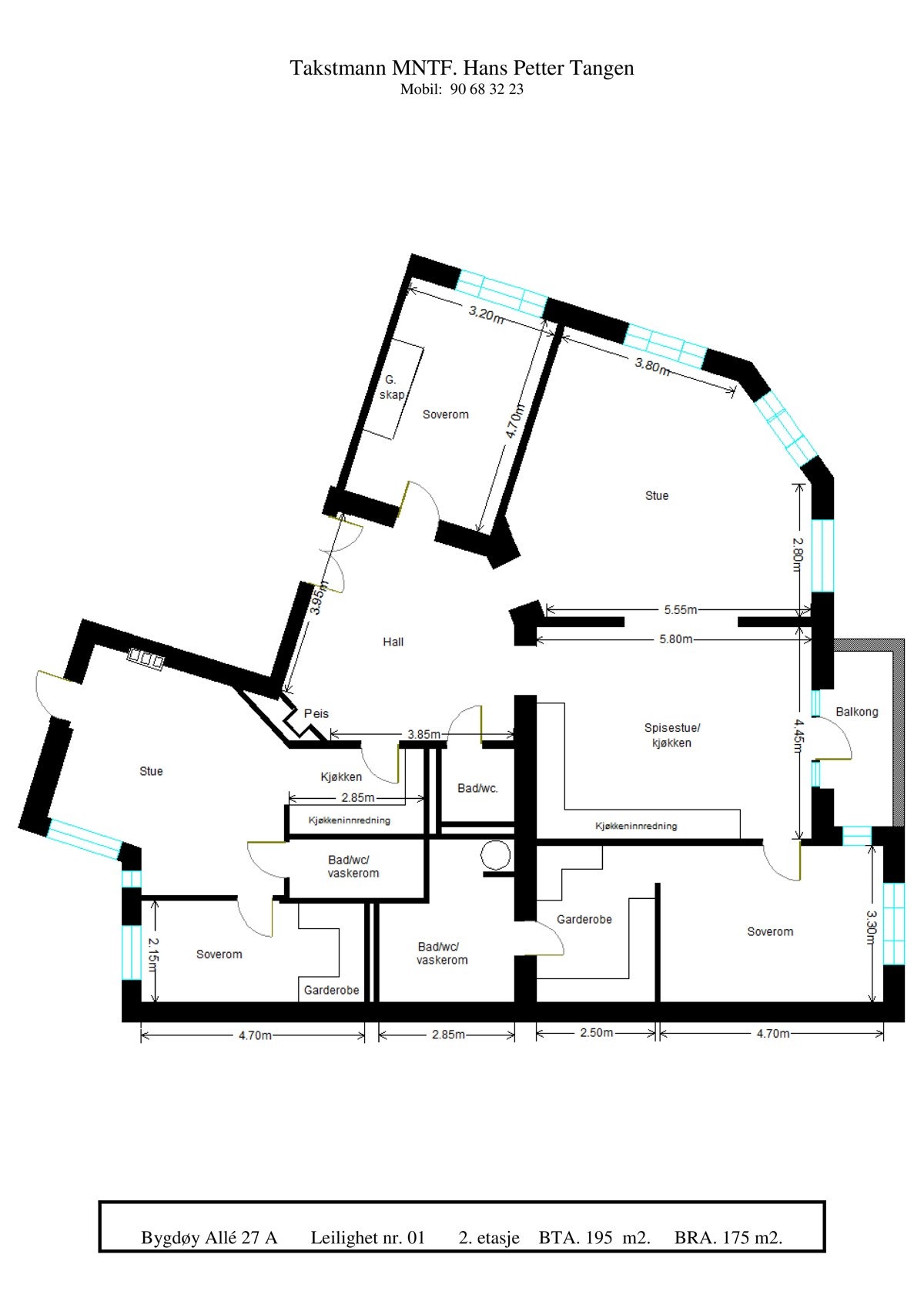 Plantegning Galleribilde