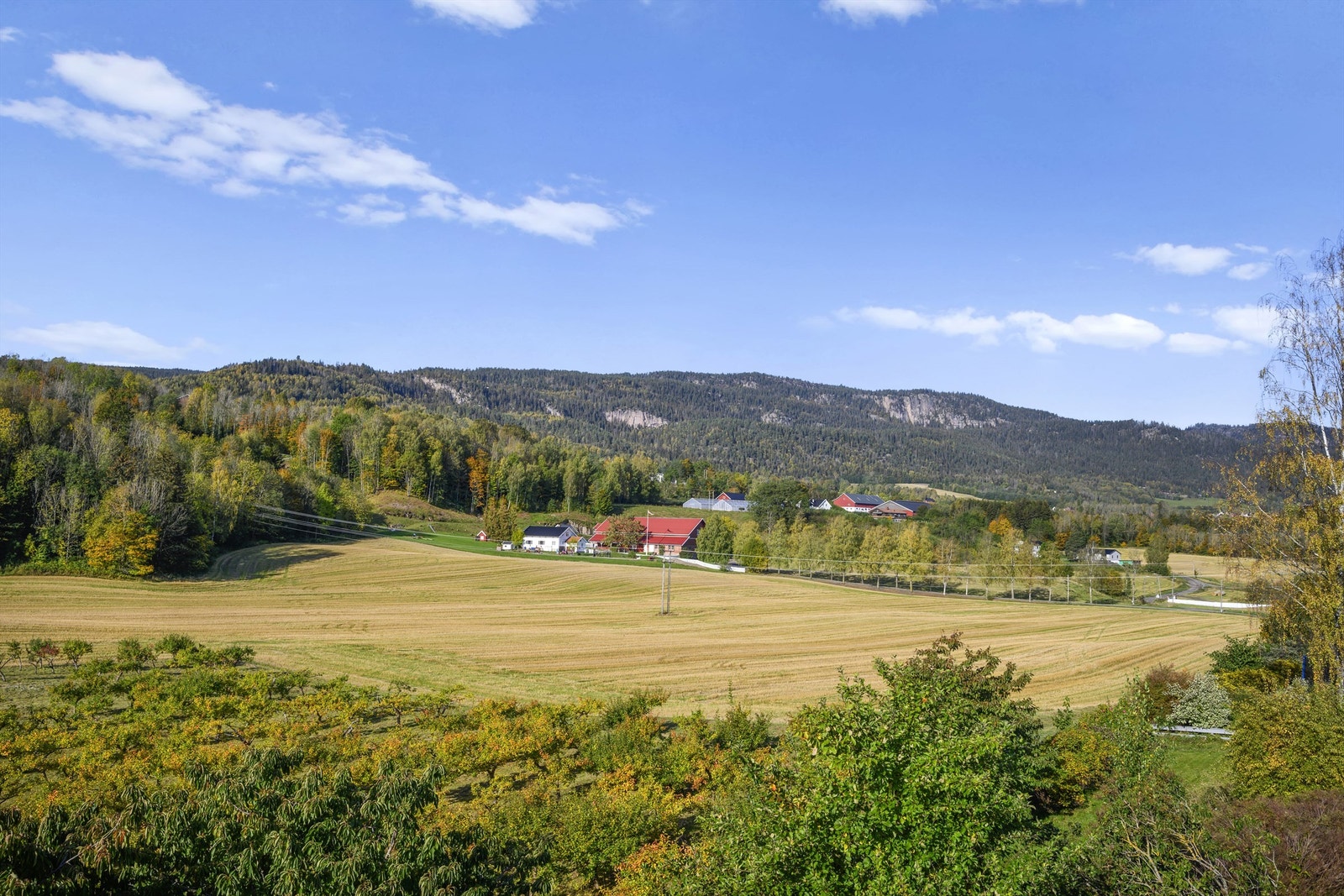 Utsikten fra eiendommen oppover mot Storsteinsfjell Galleribilde
