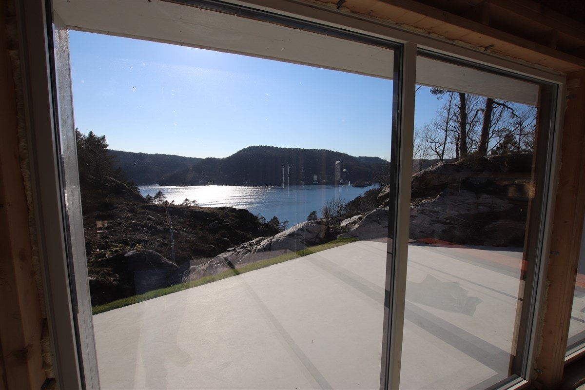 IMG_7405 Galleribilde