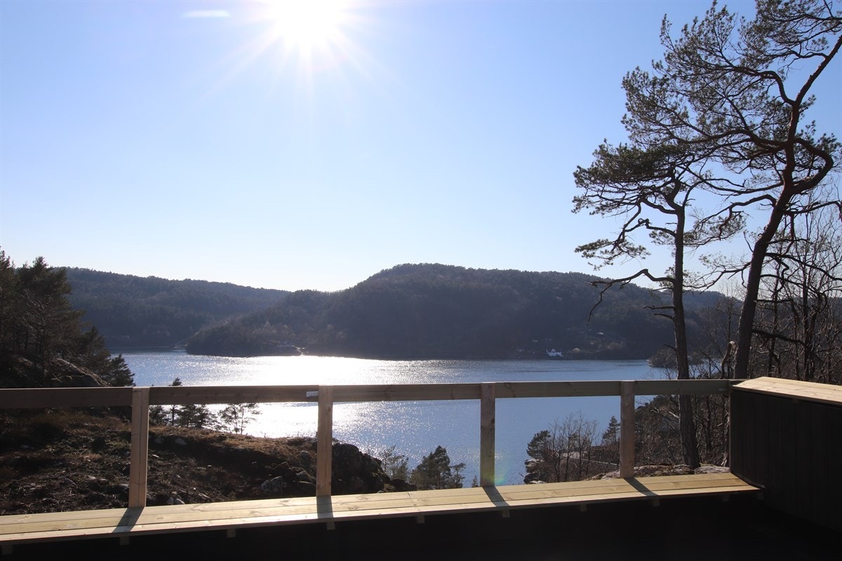 IMG_7409 Galleribilde