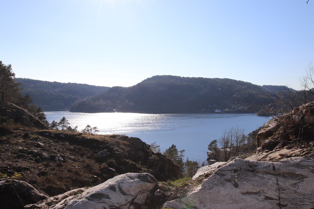 IMG_7402 Galleribilde