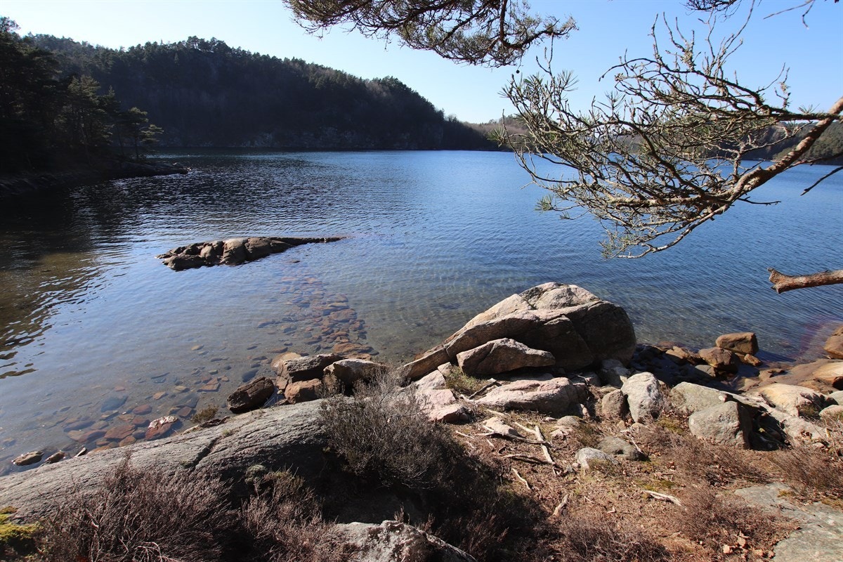 IMG_7399 Galleribilde