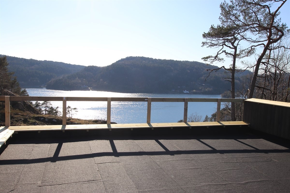 IMG_7407 Galleribilde