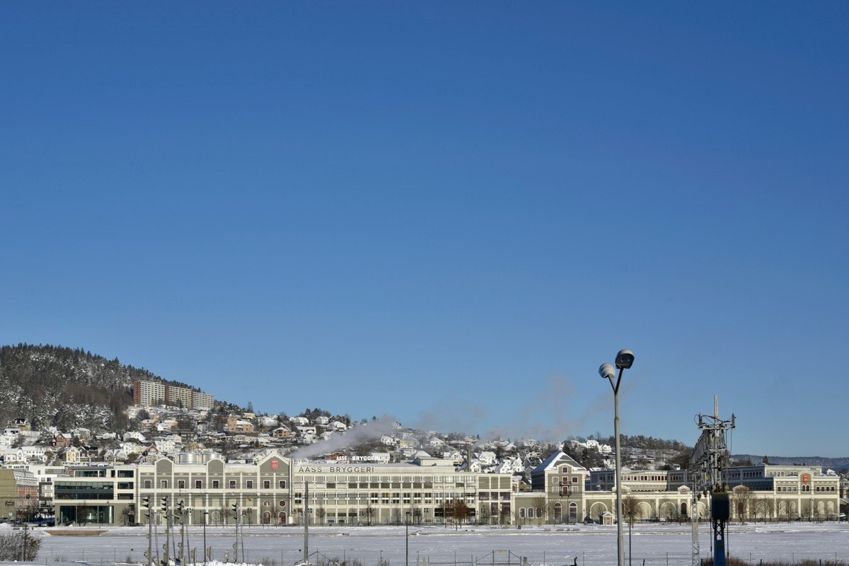 Nærområde. Galleribilde