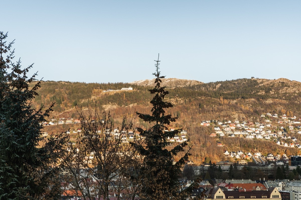- Galleribilde