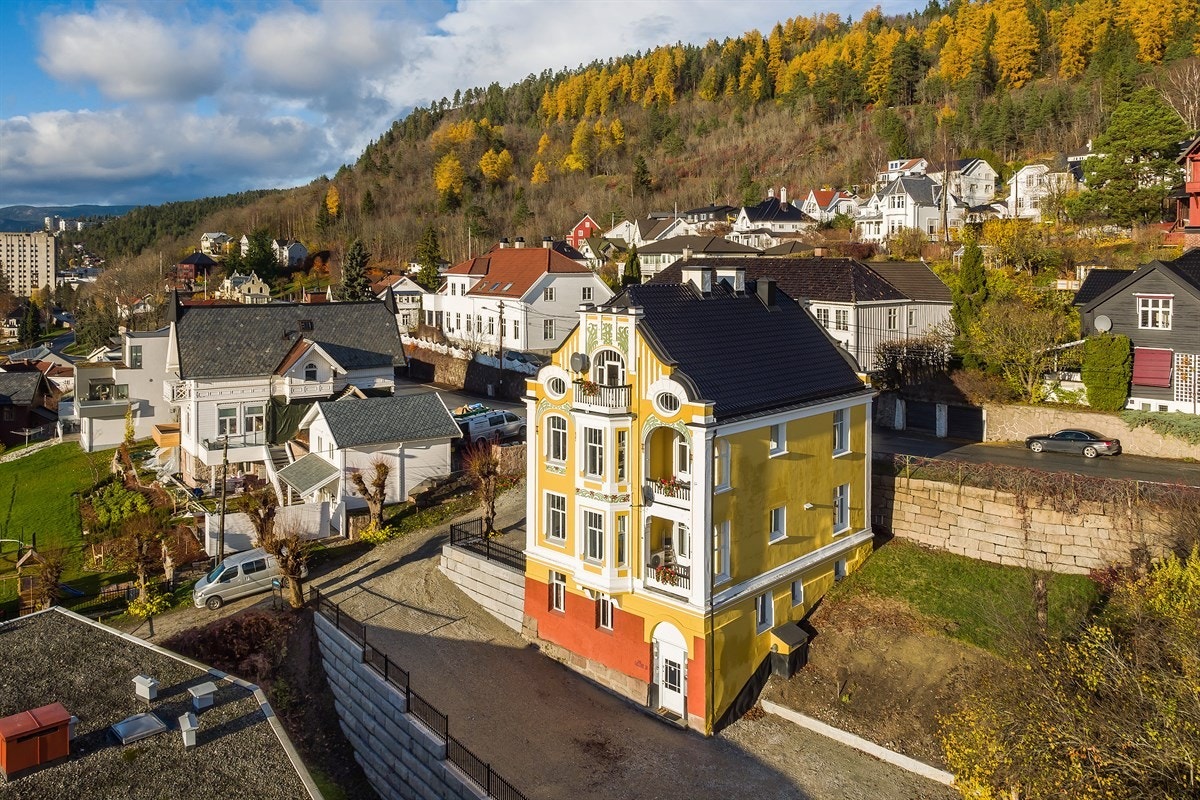 Fasade. Galleribilde