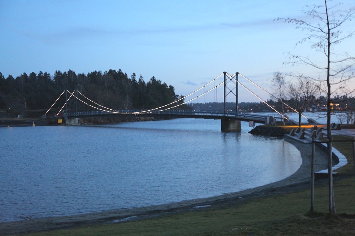 Kadettangen og Kalvøya Galleribilde