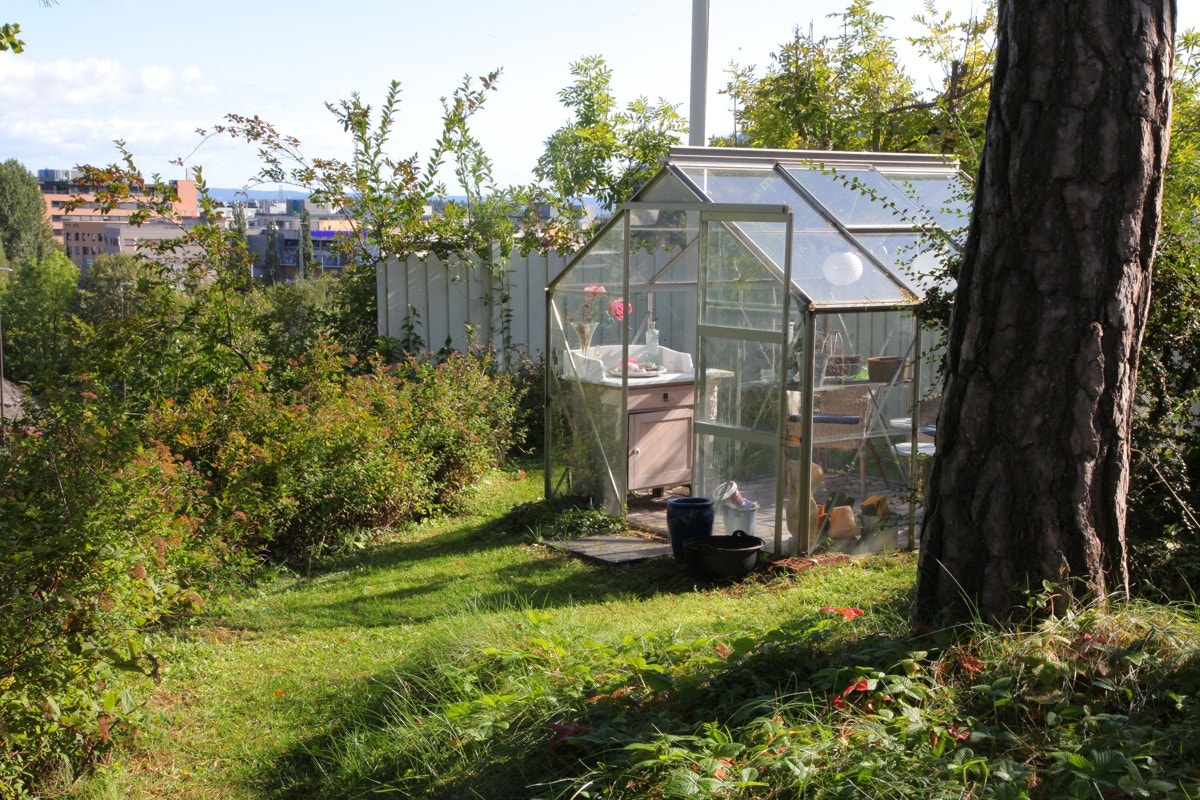 Jongsåsveien 8 b - Eiers sommerbilder Galleribilde