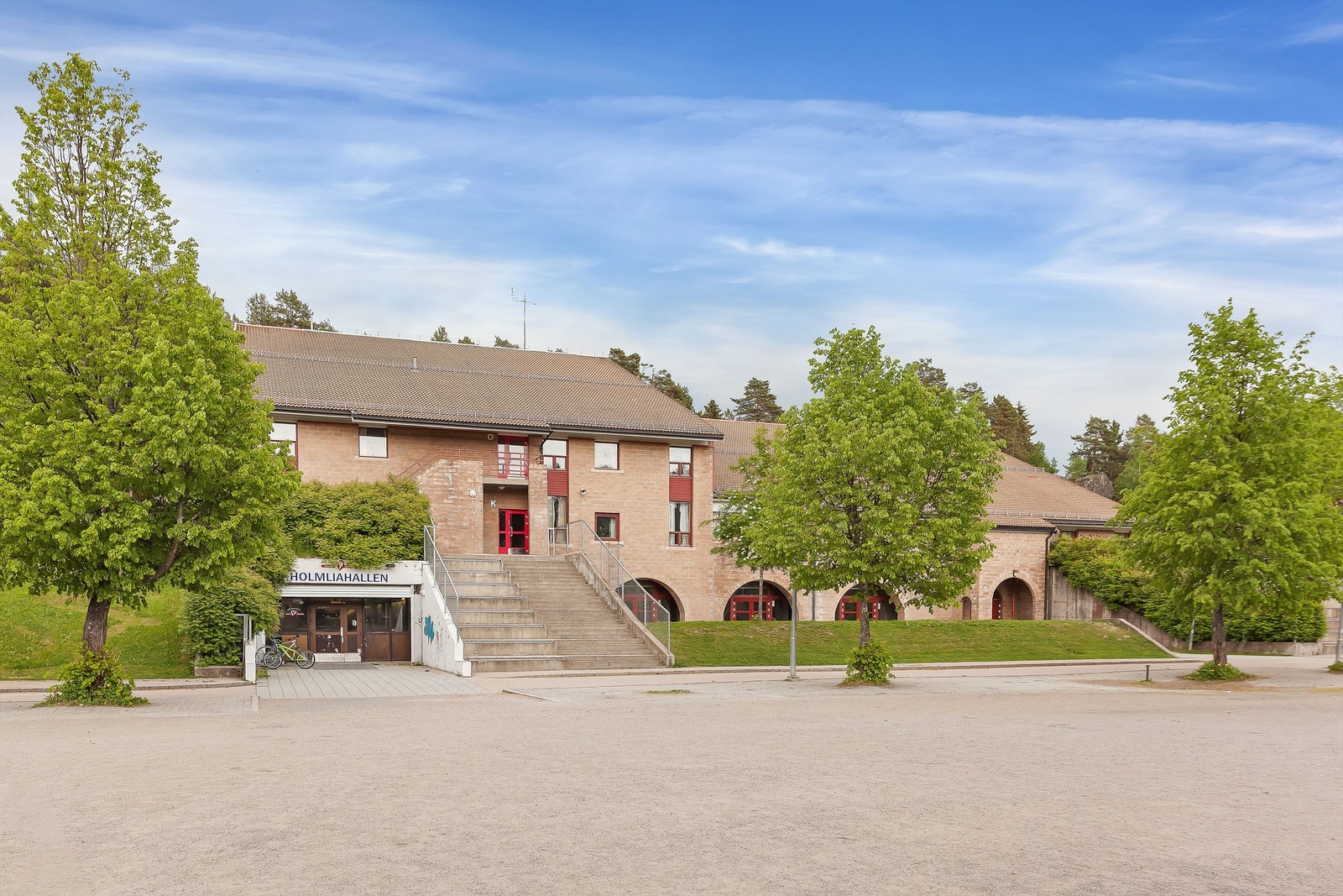 Holmliahallen. Galleribilde